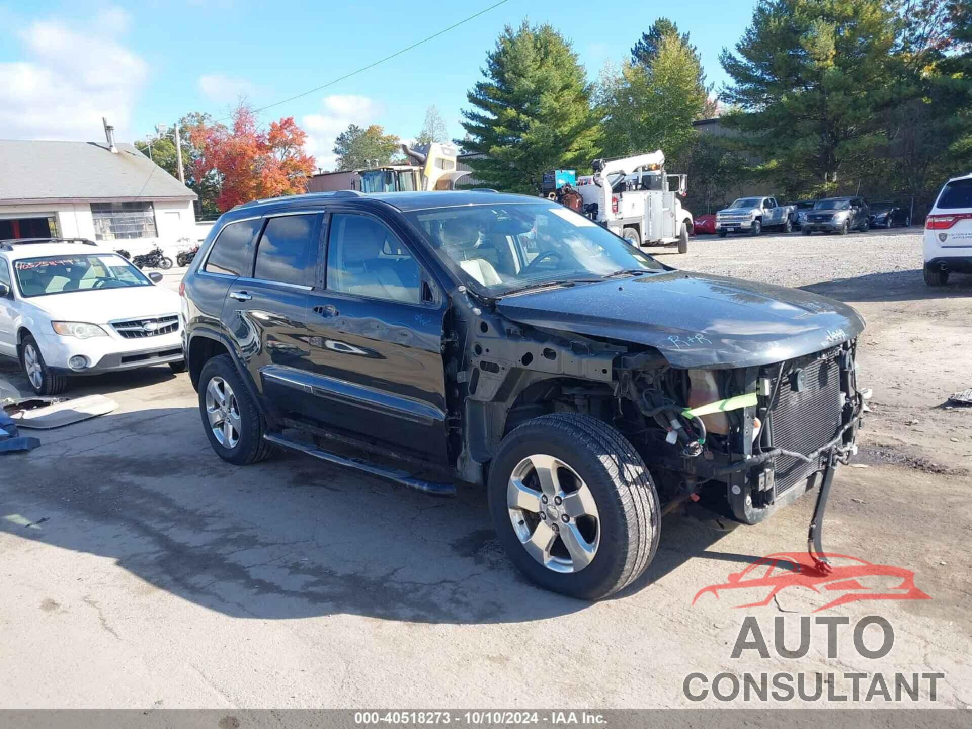 JEEP GRAND CHEROKEE 2011 - 1J4RR5GG0BC719192