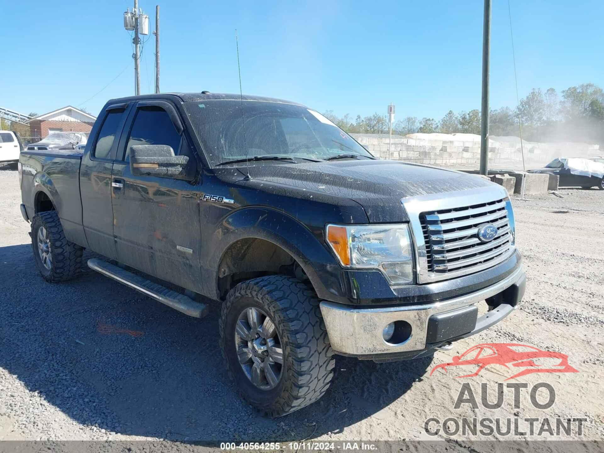 FORD F-150 2011 - 1FTFX1ET7BFC46543