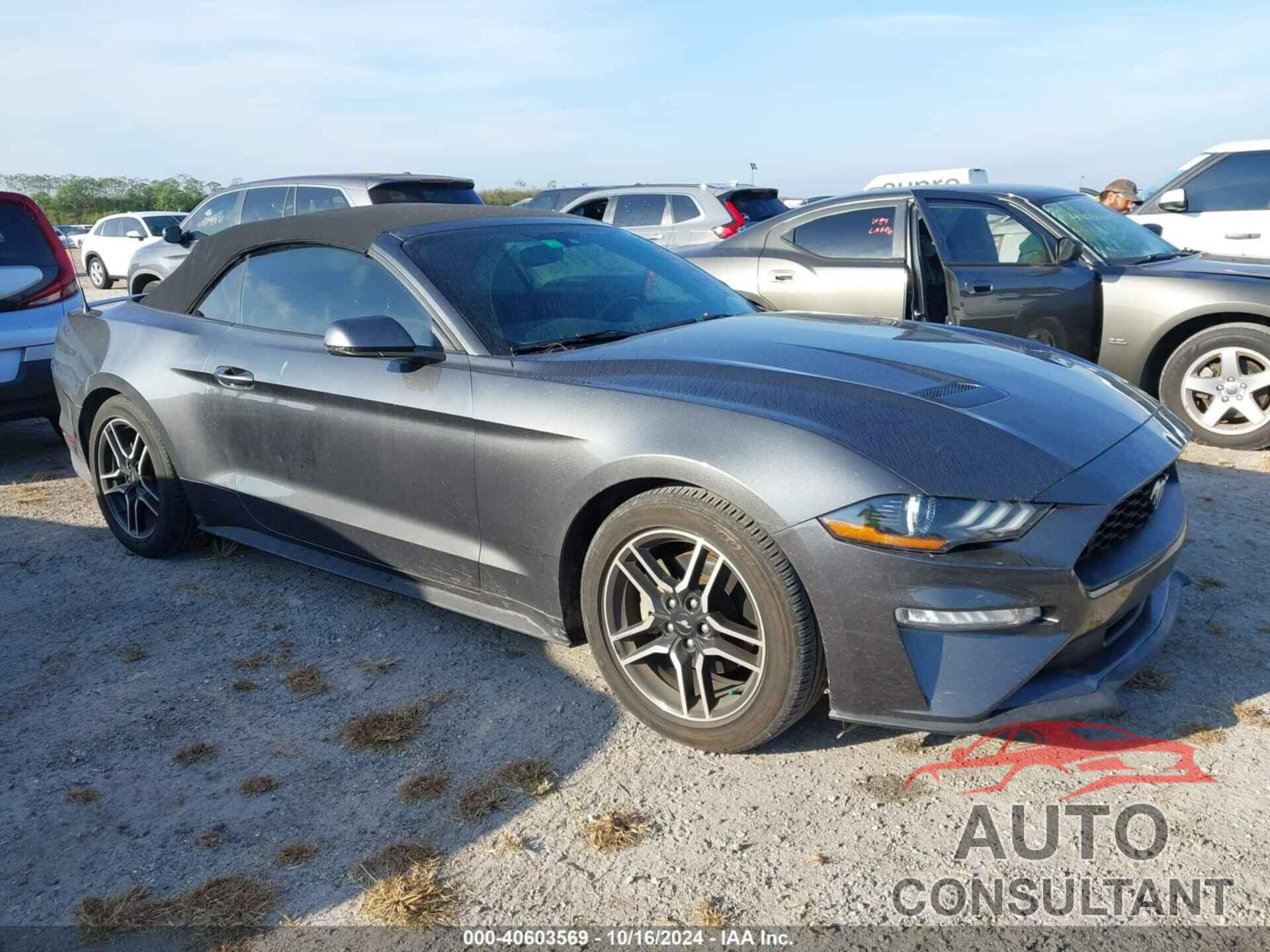 FORD MUSTANG 2019 - 1FATP8UH5K5181664