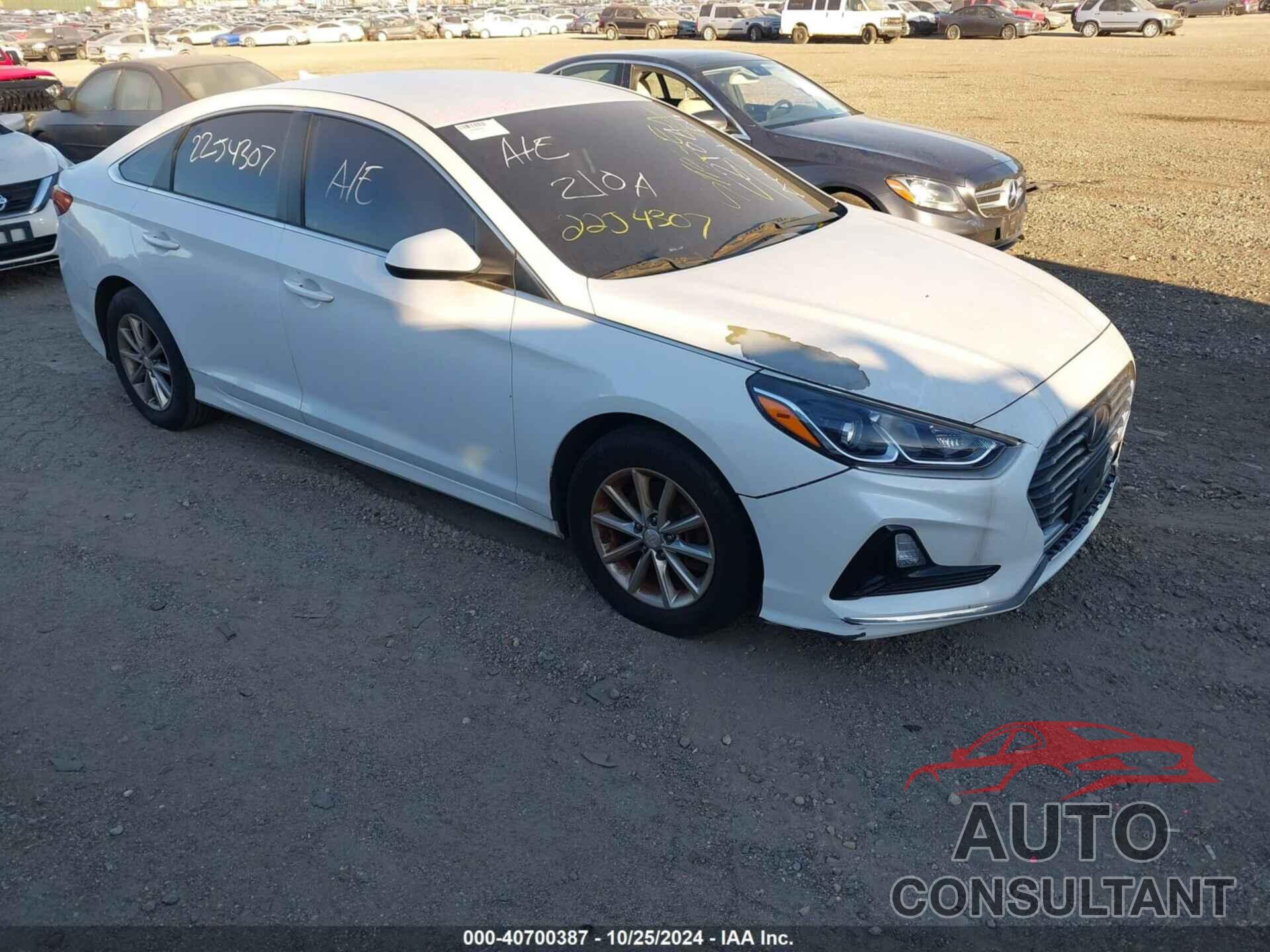 HYUNDAI SONATA 2019 - 5NPE24AFXKH757665