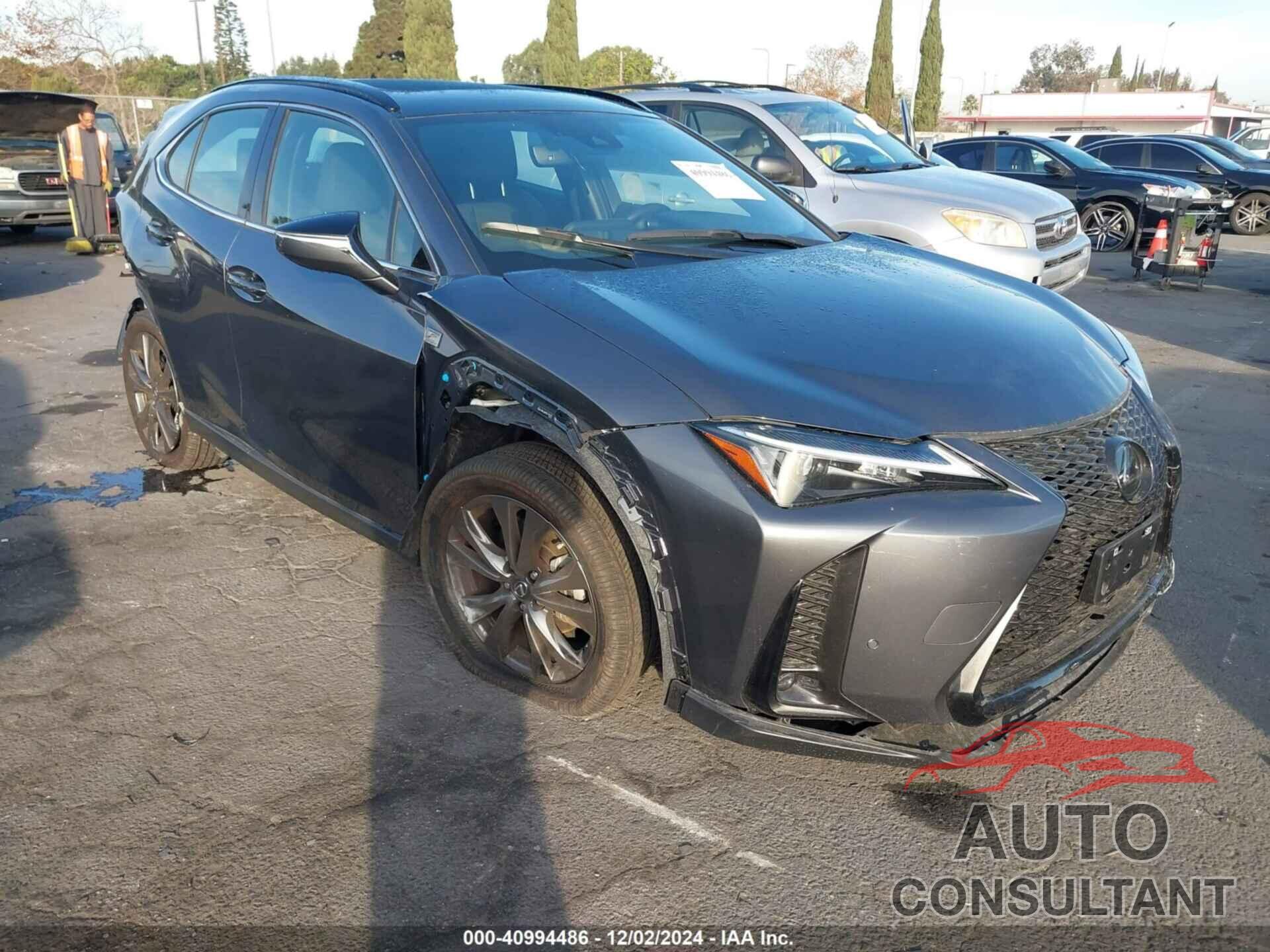 LEXUS UX 250H 2024 - JTHB6JBH1R2179293