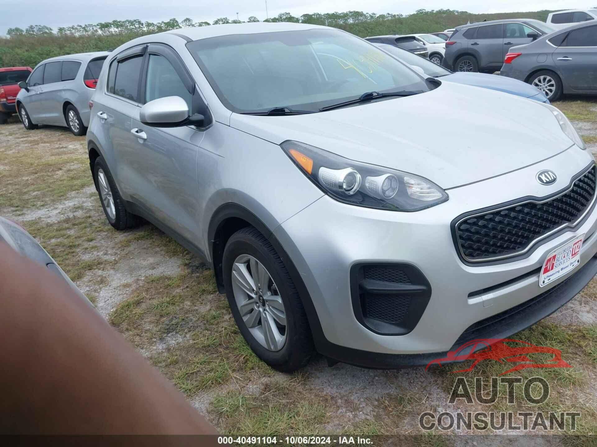 KIA SPORTAGE 2019 - KNDPM3AC4K7495391