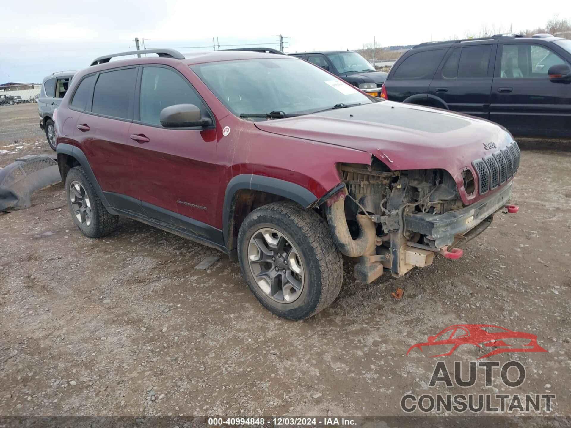 JEEP CHEROKEE 2019 - 1C4PJMBX3KD483704