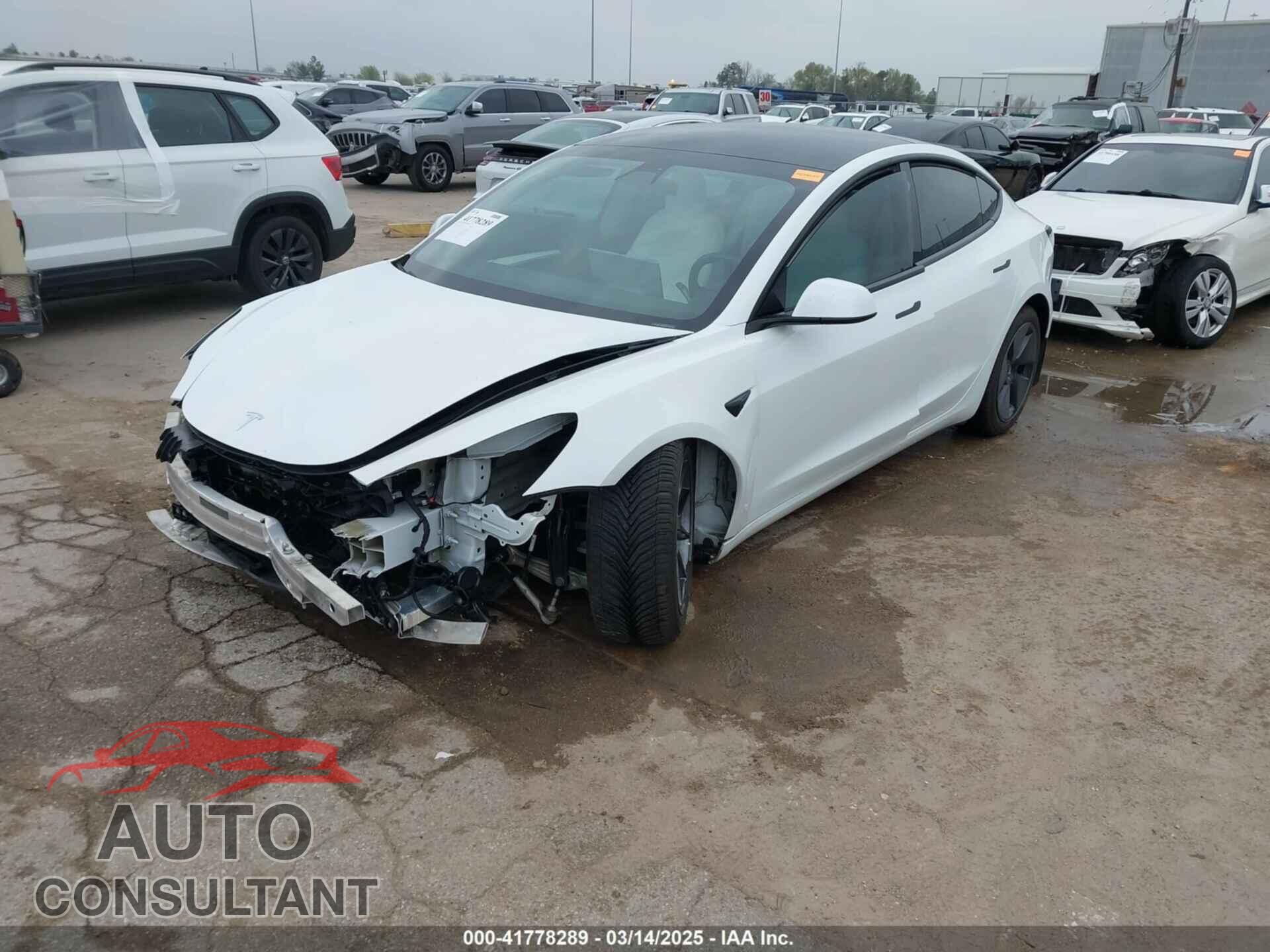 TESLA MODEL 3 2021 - 5YJ3E1EB3MF059713