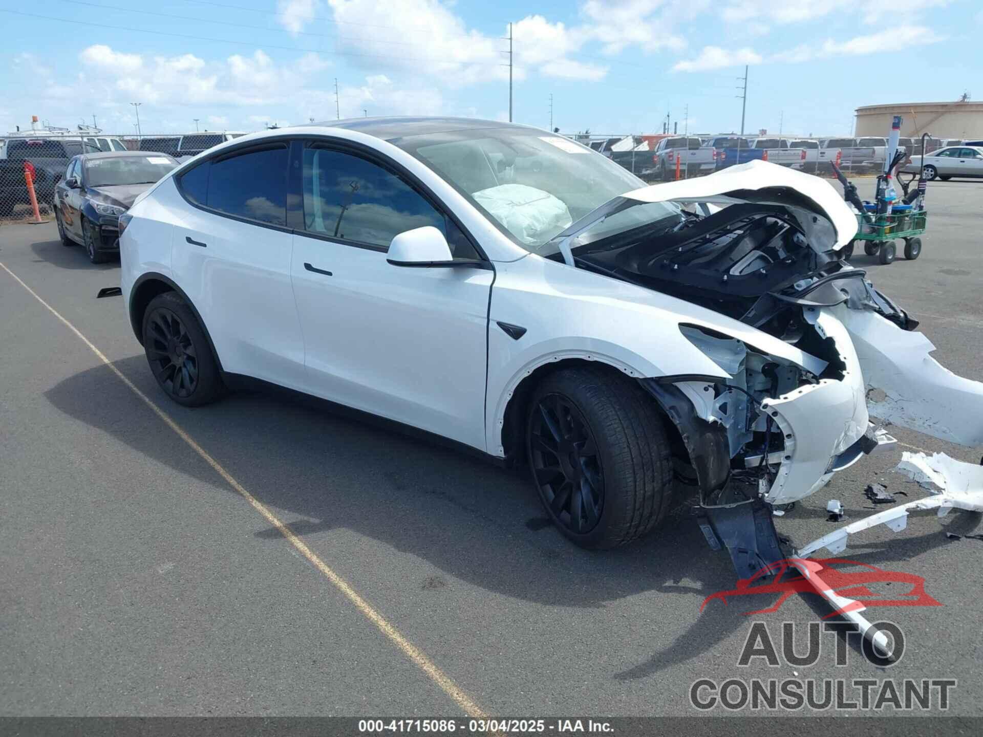 TESLA MODEL Y 2024 - 7SAYGDEE5RF181334