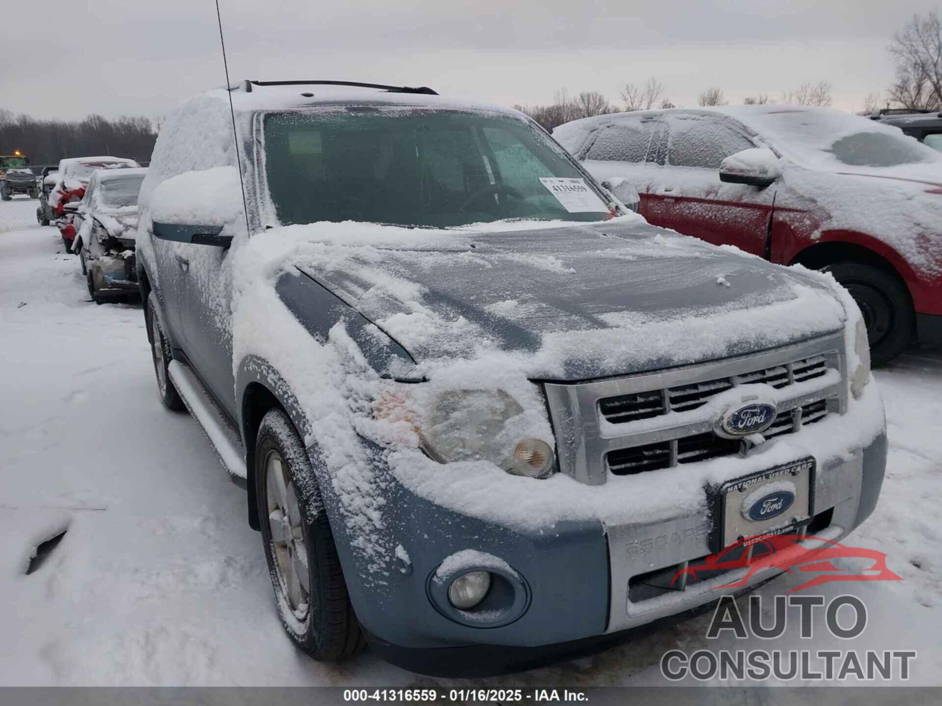 FORD ESCAPE 2010 - 1FMCU9EG2AKB61897