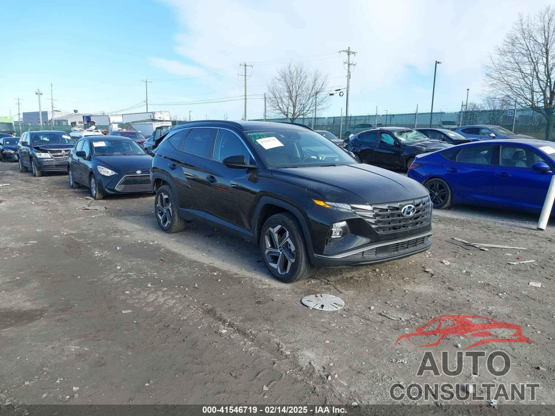 HYUNDAI TUCSON 2024 - 5NMJBCDEXRH426040