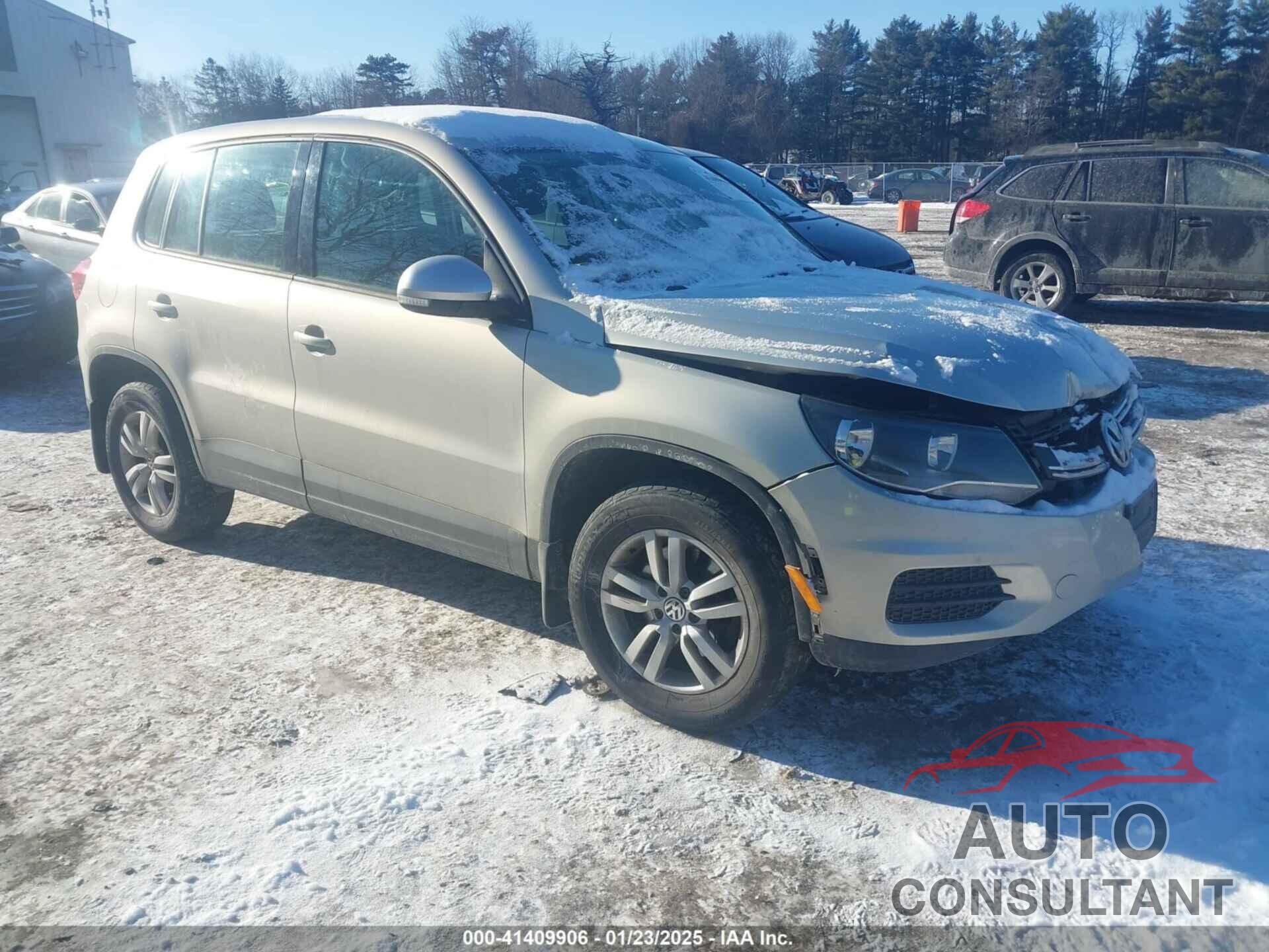 VOLKSWAGEN TIGUAN 2013 - WVGBV3AX1DW601892