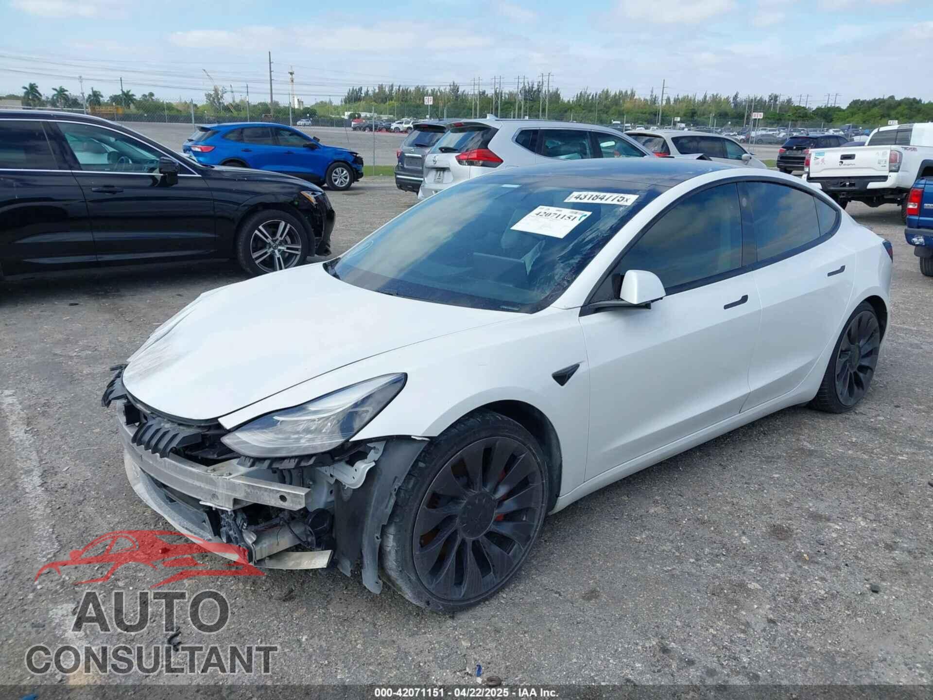 TESLA MODEL 3 2021 - 5YJ3E1EC5MF984891