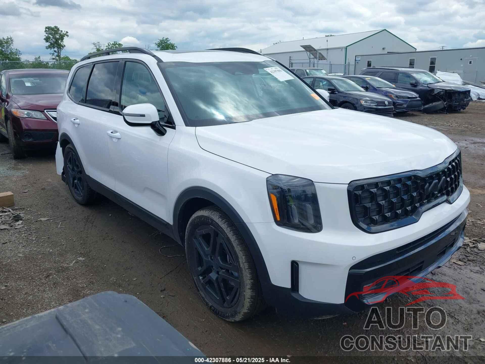 KIA TELLURIDE 2025 - 5XYP5DGC6SG626544