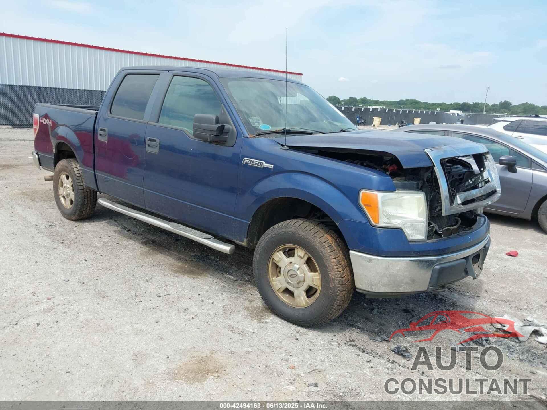 FORD F-150 2010 - 1FTEW1E83AFB75883