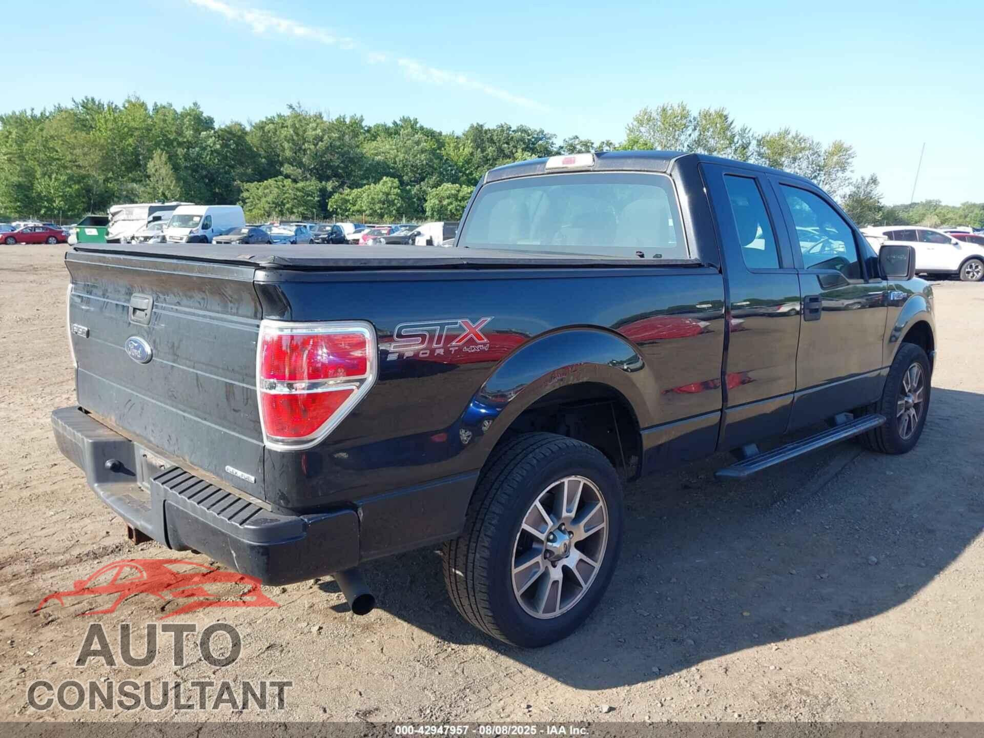 FORD F-150 2014 - 1FTFX1EFXEFC81172