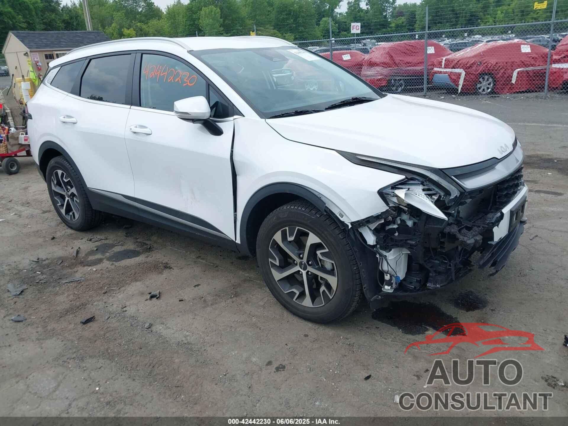 KIA SPORTAGE 2023 - 5XYK3CAF5PG047520