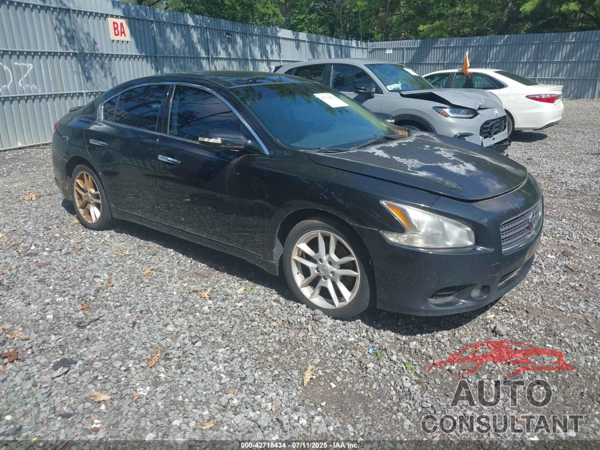 NISSAN MAXIMA 2010 - 1N4AA5AP3AC829595
