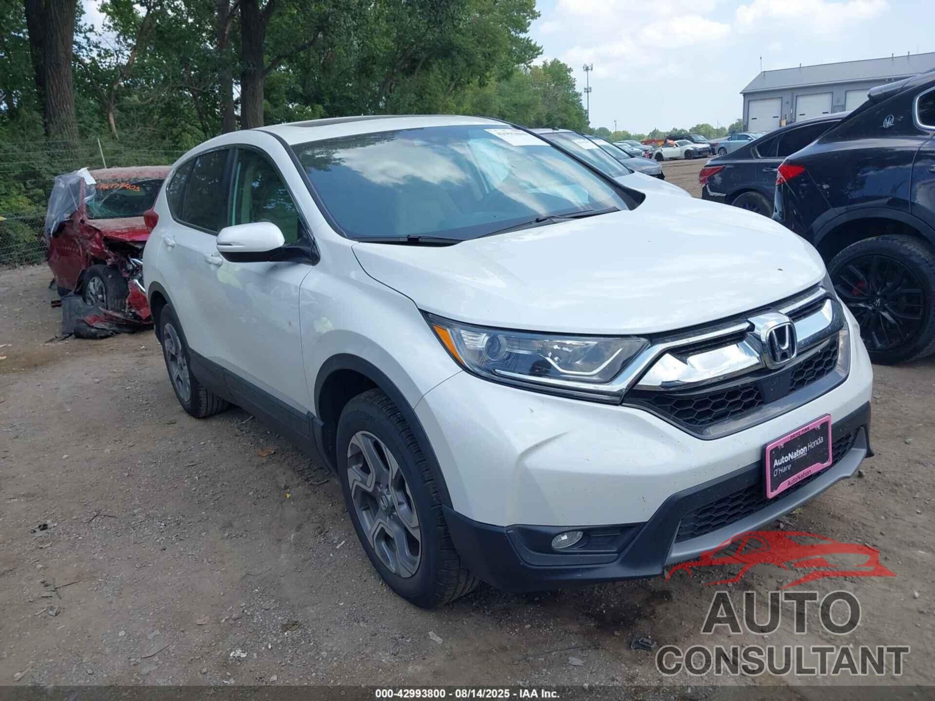 HONDA CR-V 2019 - 7FARW2H56KE060956