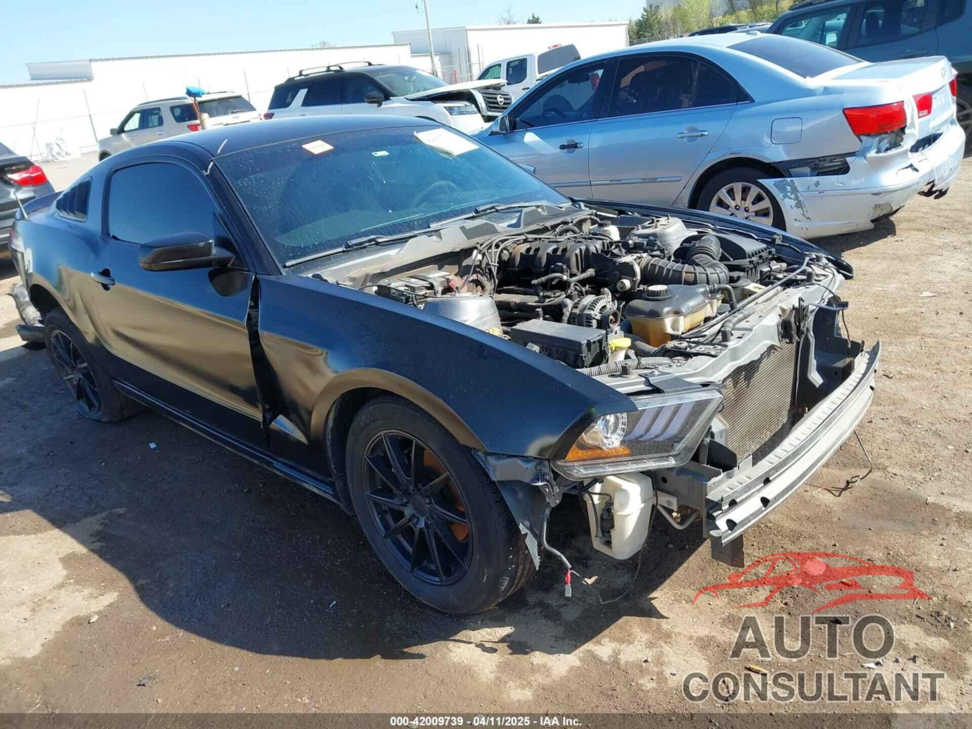 FORD MUSTANG 2010 - 1ZVBP8AN6A5111957