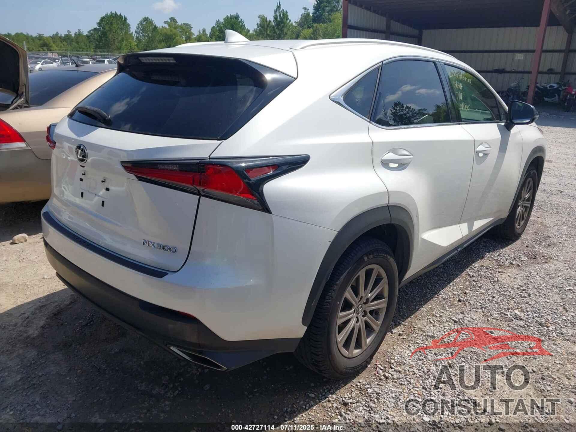 LEXUS NX 300 2019 - JTJYARBZ2K2156304