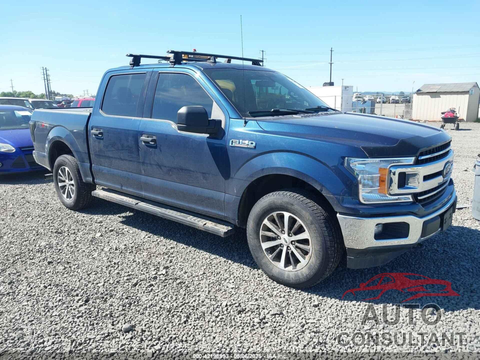 FORD F-150 2019 - 1FTEW1EP1KFA98911