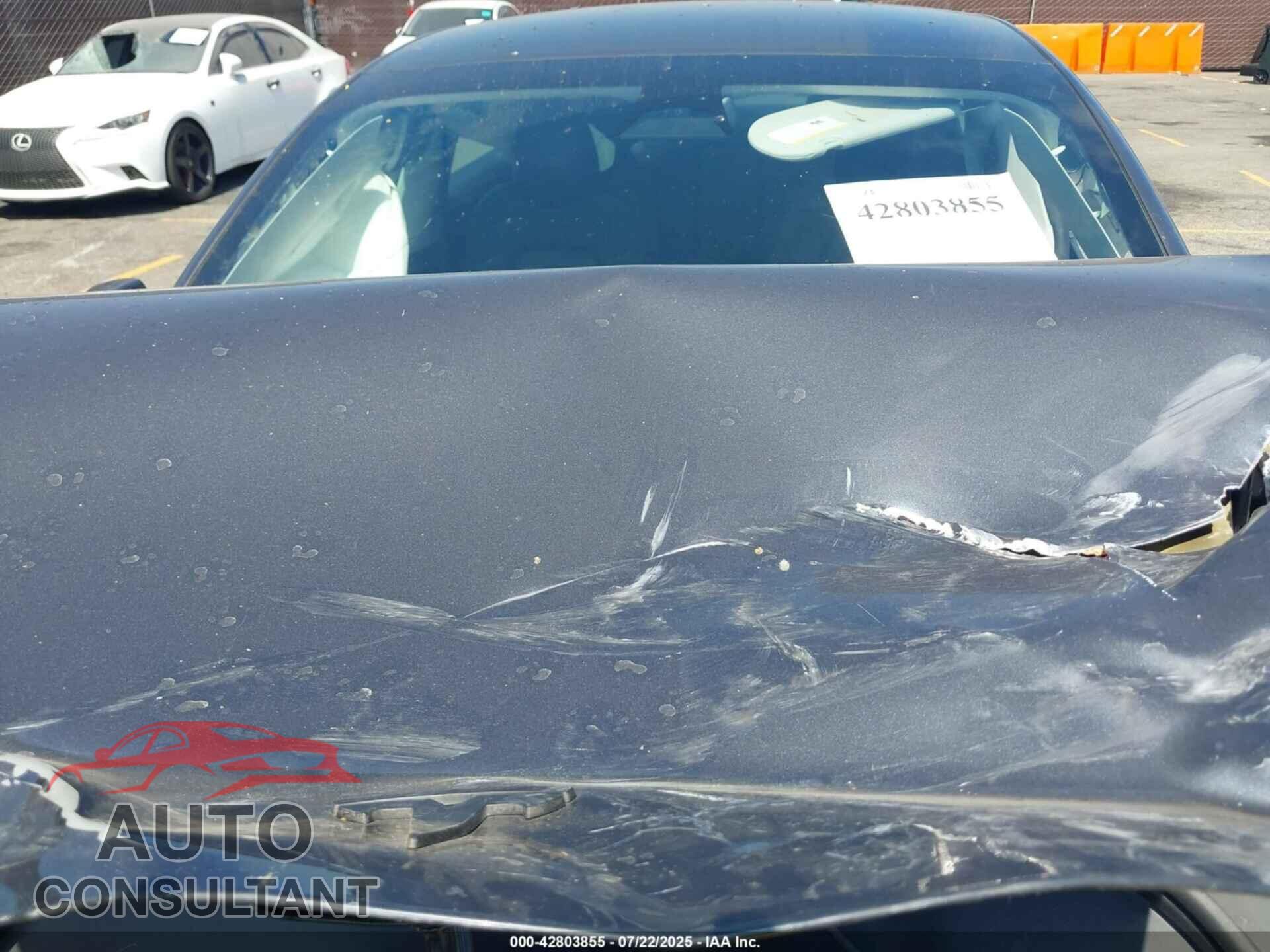 TESLA MODEL 3 2023 - 5YJ3E1EA3PF600254