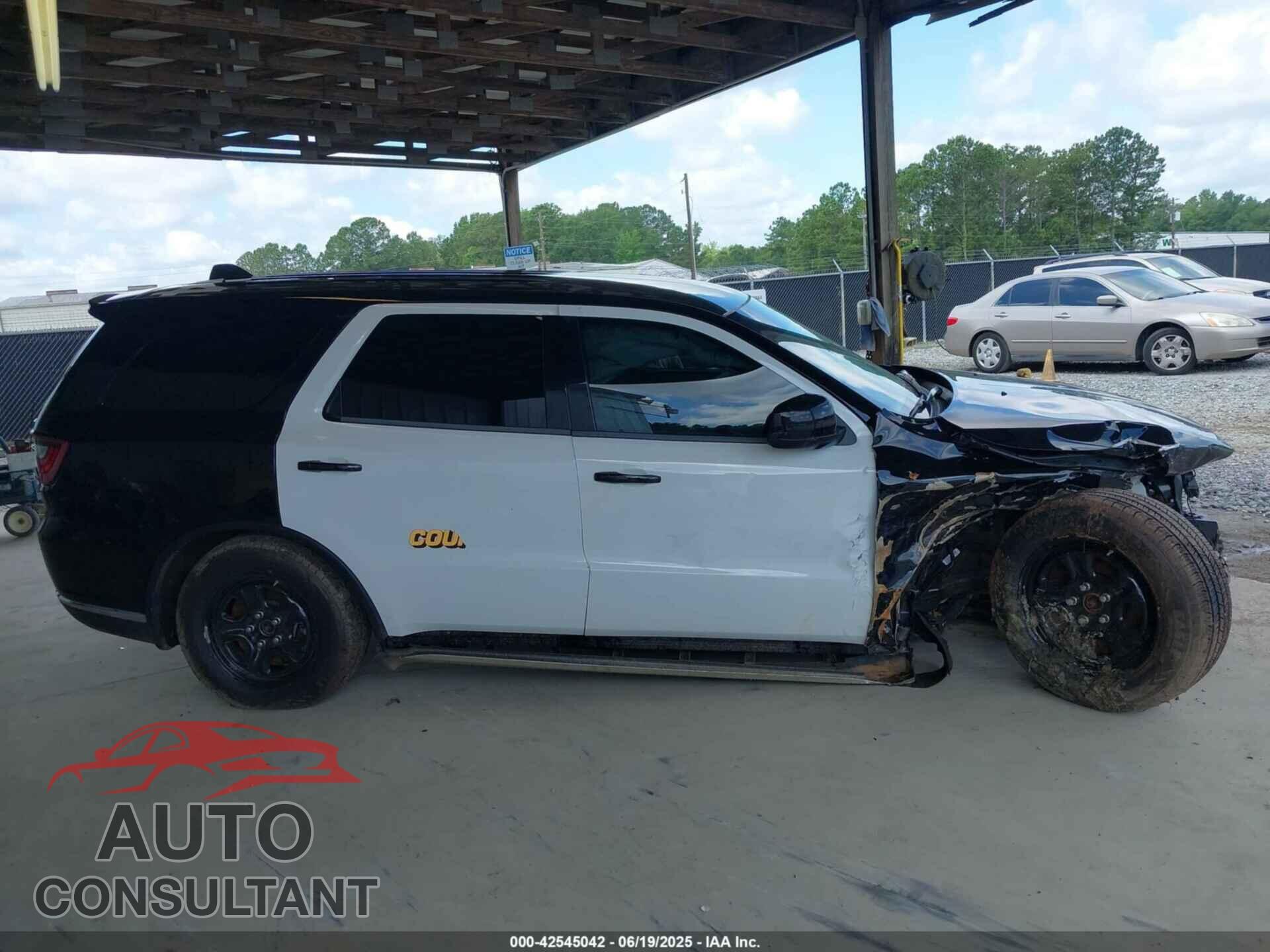 DODGE DURANGO 2023 - 1C4SDJFT1PC689883
