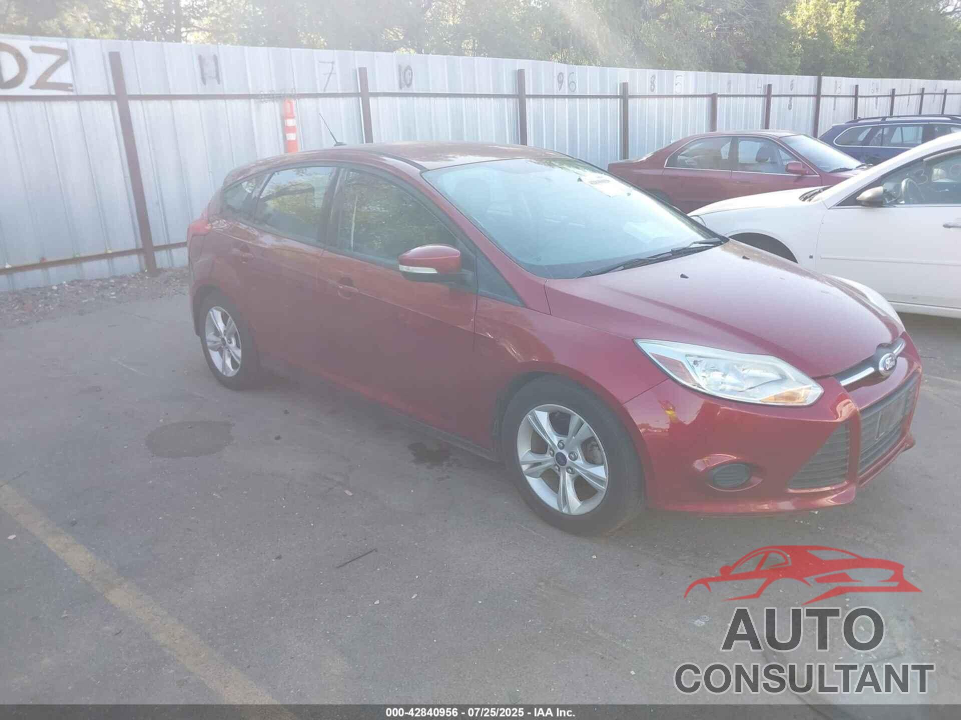 FORD FOCUS 2014 - 1FADP3K24EL452588