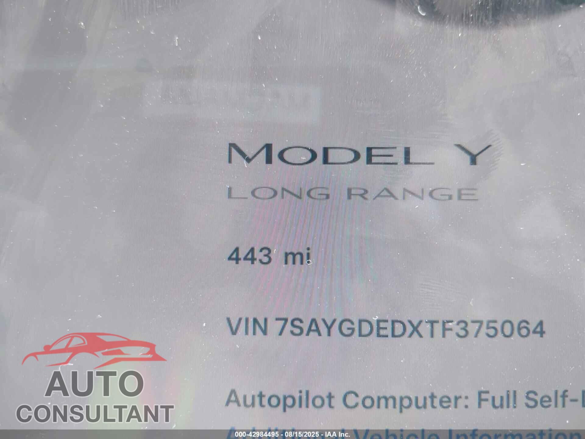TESLA MODEL Y 2026 - 7SAYGDEDXTF375064