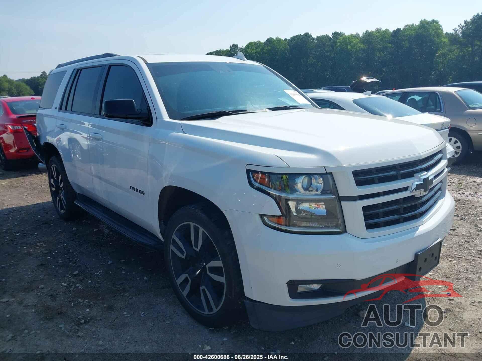 CHEVROLET TAHOE 2019 - 1GNSCBKC2KR128944