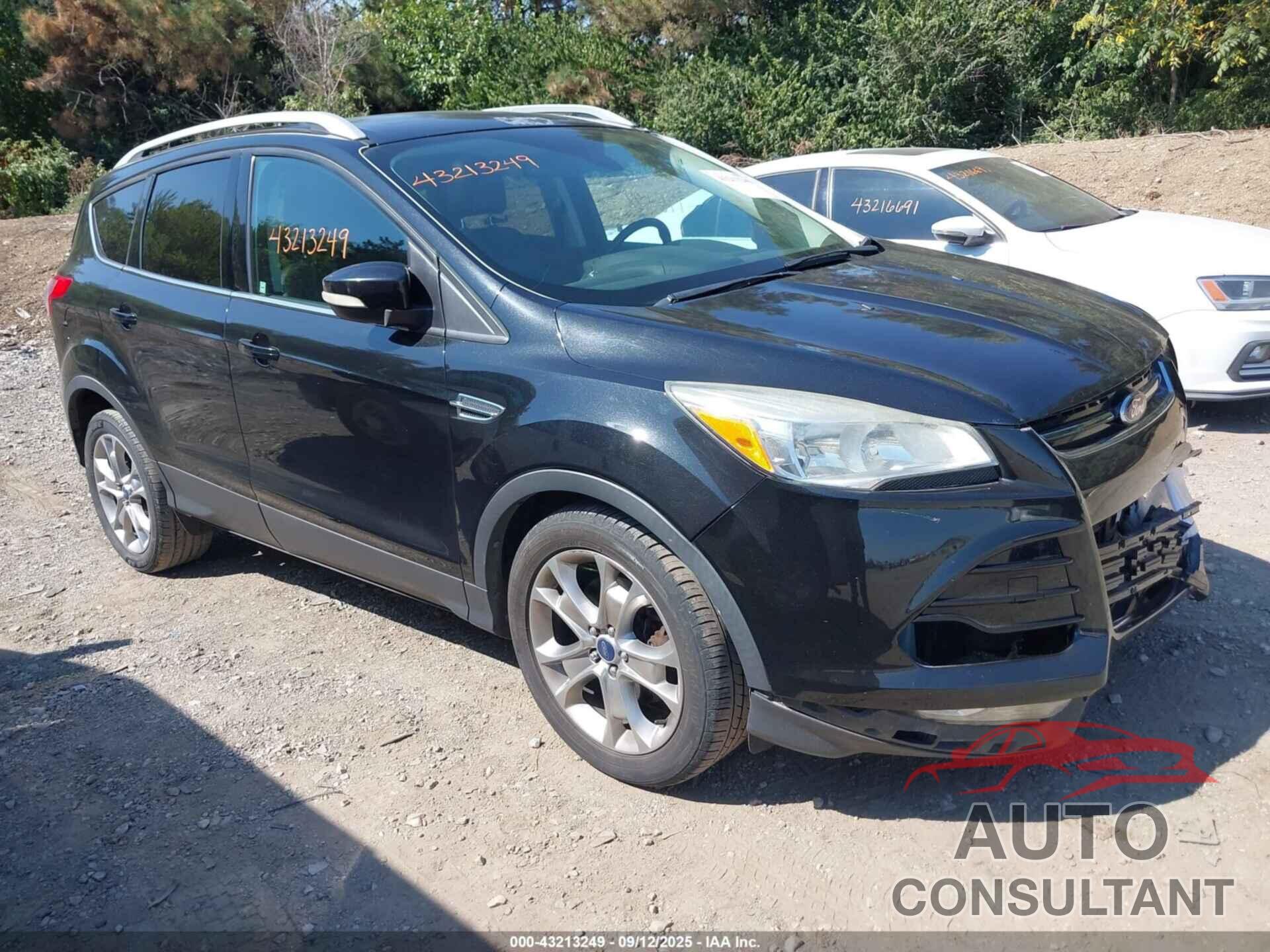 FORD ESCAPE 2014 - 1FMCU0J9XEUA60202
