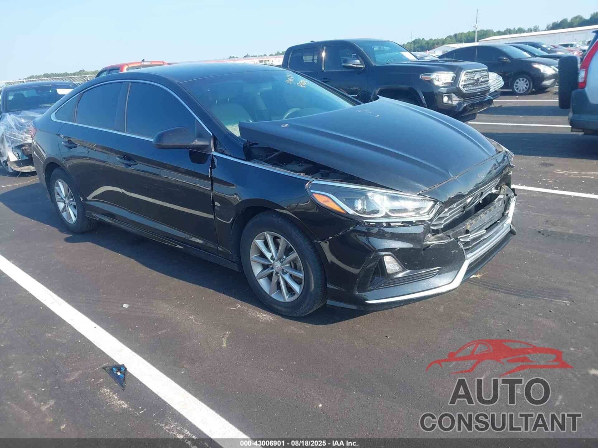 HYUNDAI SONATA 2019 - 5NPE24AF3KH802753