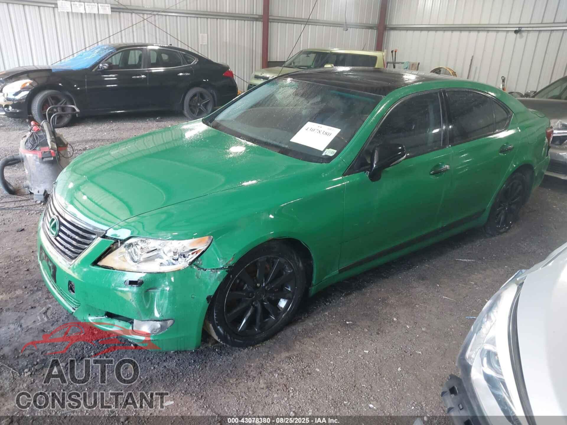 LEXUS LS 460 2011 - JTHCL5EF3B5010878