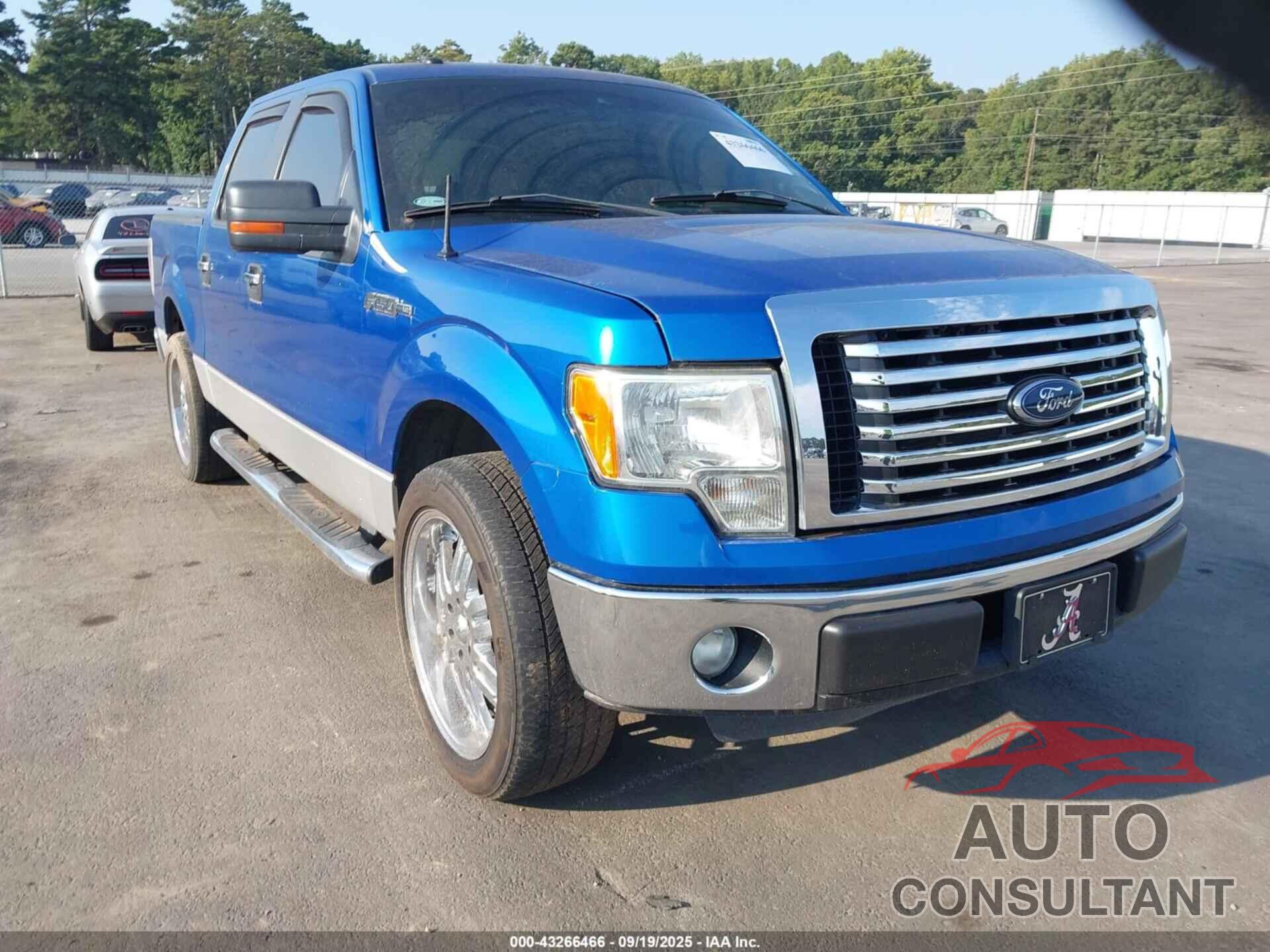 FORD F-150 2012 - 1FTEW1CM1CKD08828