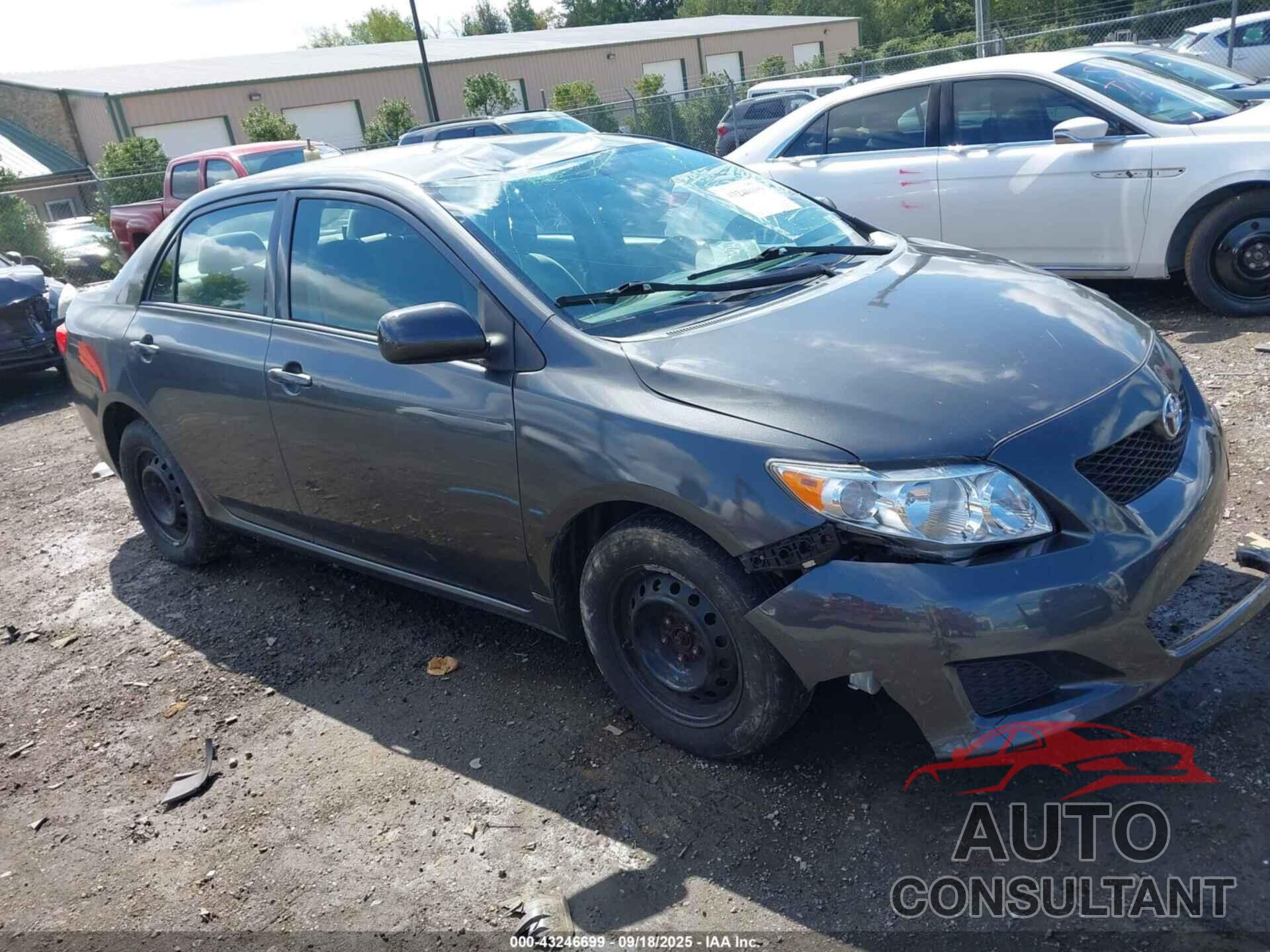 TOYOTA COROLLA 2010 - 2T1BU4EE7AC337037