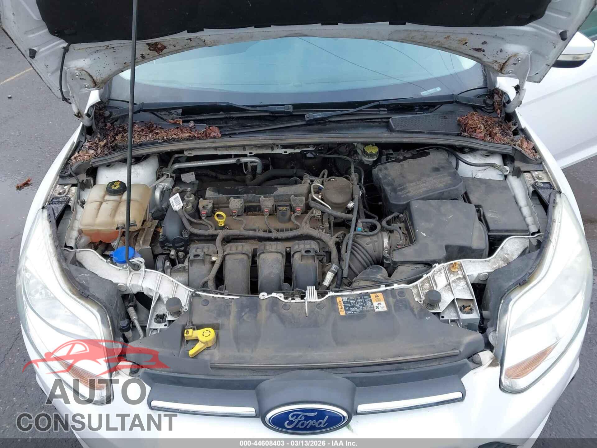 FORD FOCUS 2014 - 1FADP3F2XEL421811