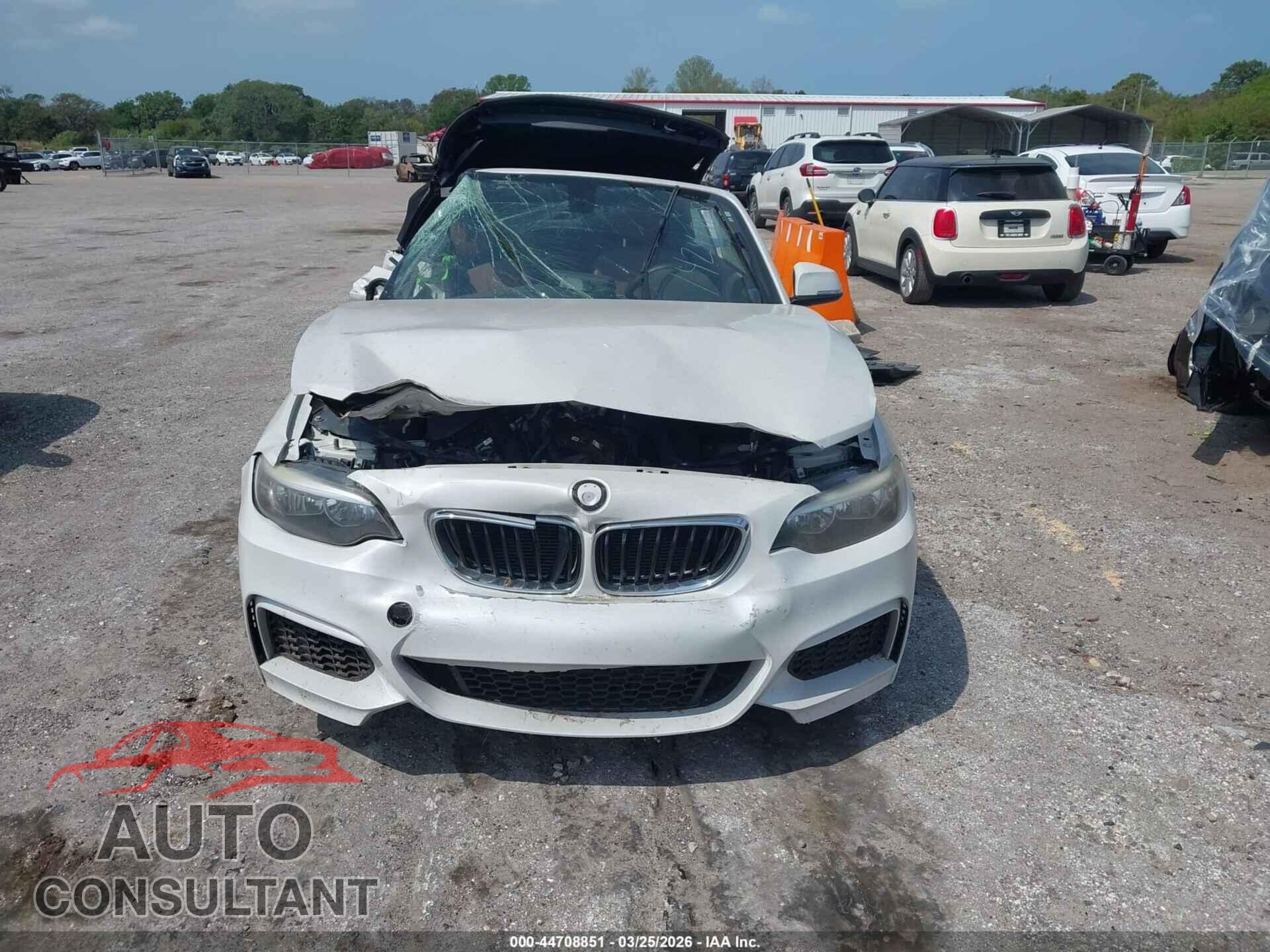 BMW 228I 2016 - WBA1K9C56GV322758