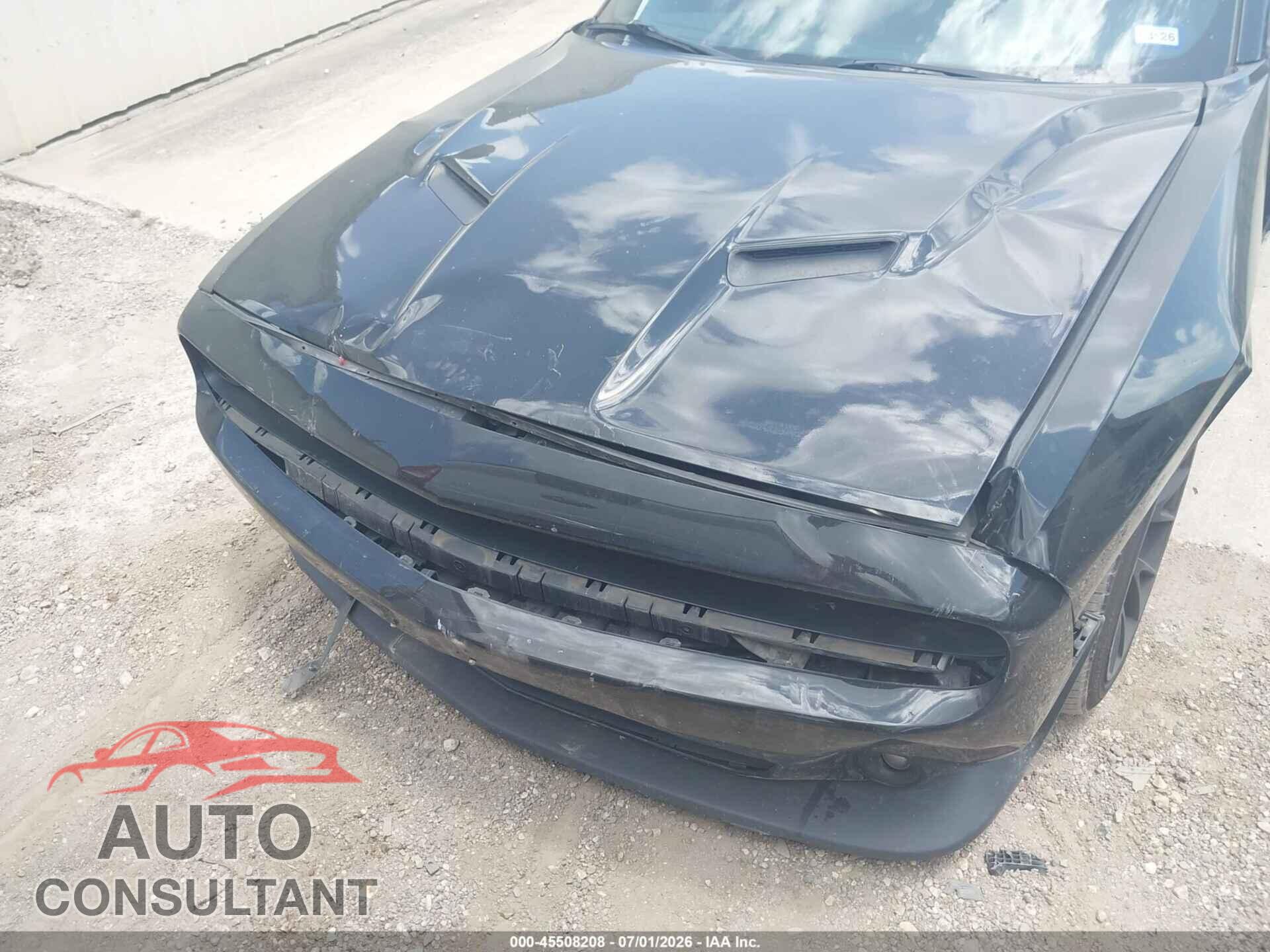 DODGE CHALLENGER 2019 - 2C3CDZAG7KH587169