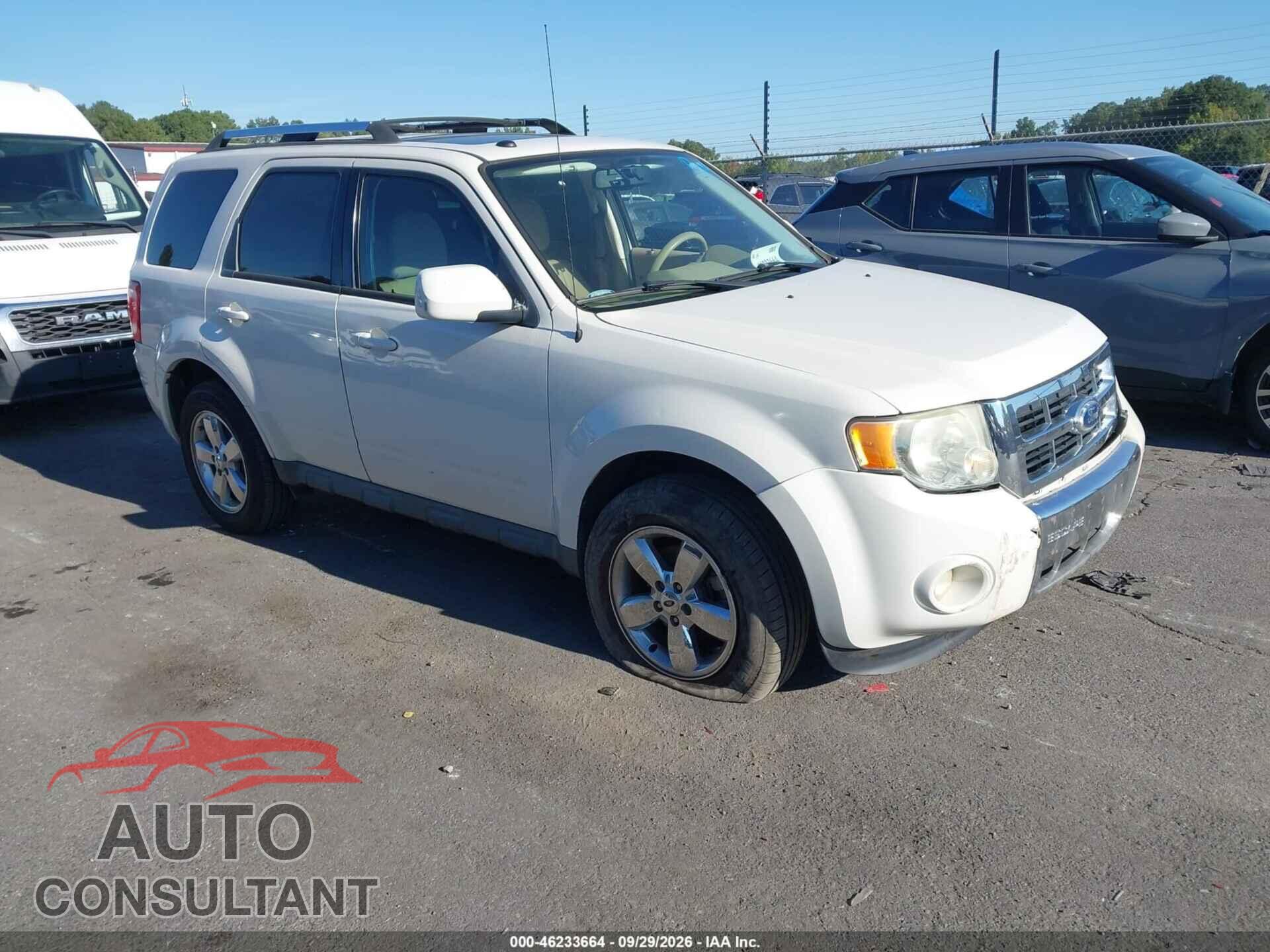 FORD ESCAPE 2010 - 1FMCU0E73AKC87813