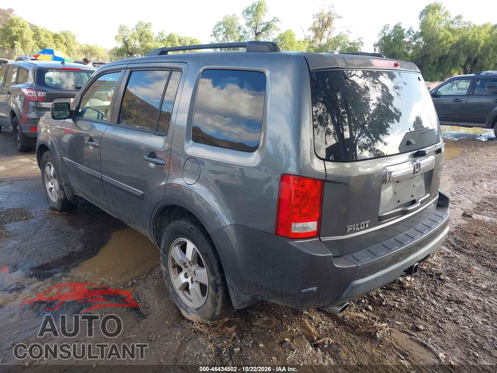 HONDA PILOT 2010 - 5FNYF3H60AB021753