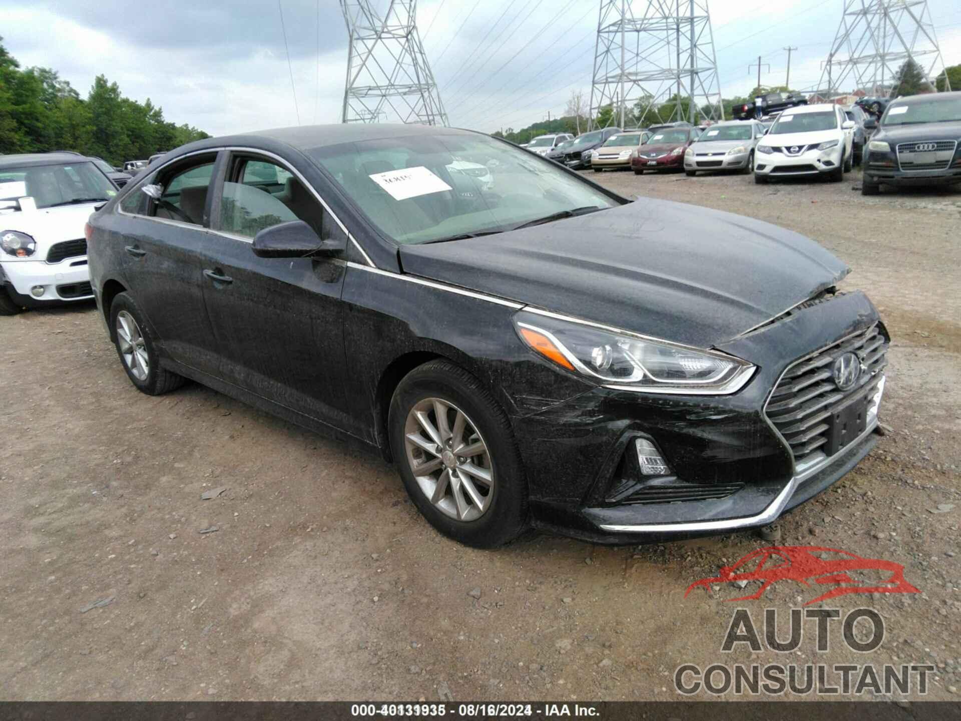 HYUNDAI SONATA 2019 - 5NPE24AF7KH793359