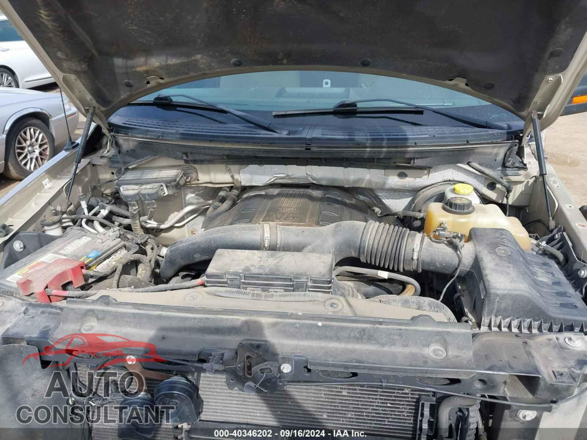 FORD F-150 2013 - 1FTFX1CTXDFD46920