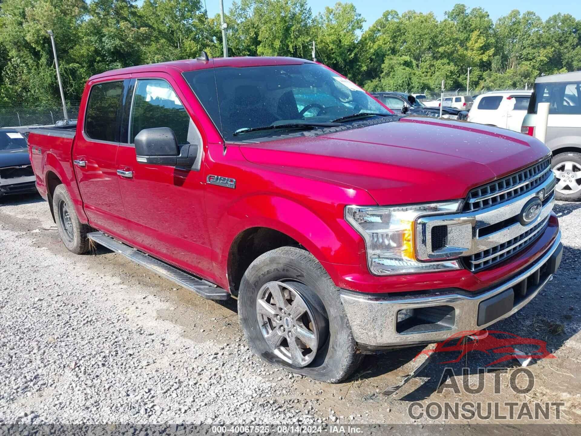 FORD F-150 2019 - 1FTEW1EP8KKF28375