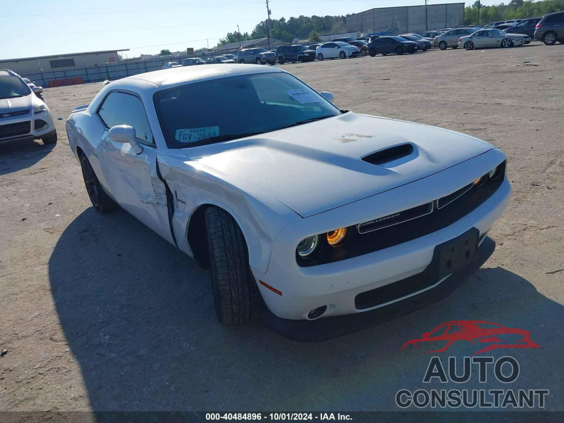 DODGE CHALLENGER 2019 - 2C3CDZBT9KH621429