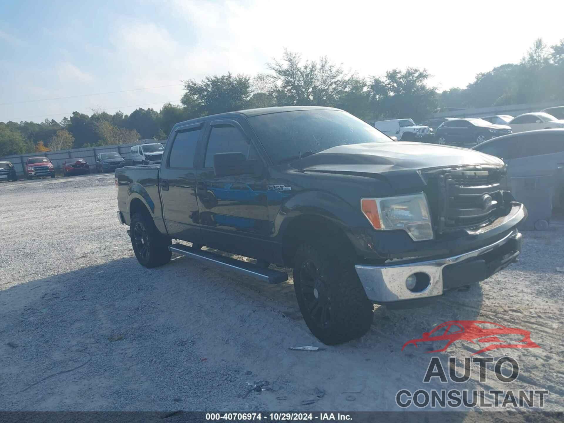 FORD F-150 2014 - 1FTFW1EF8EFA71043