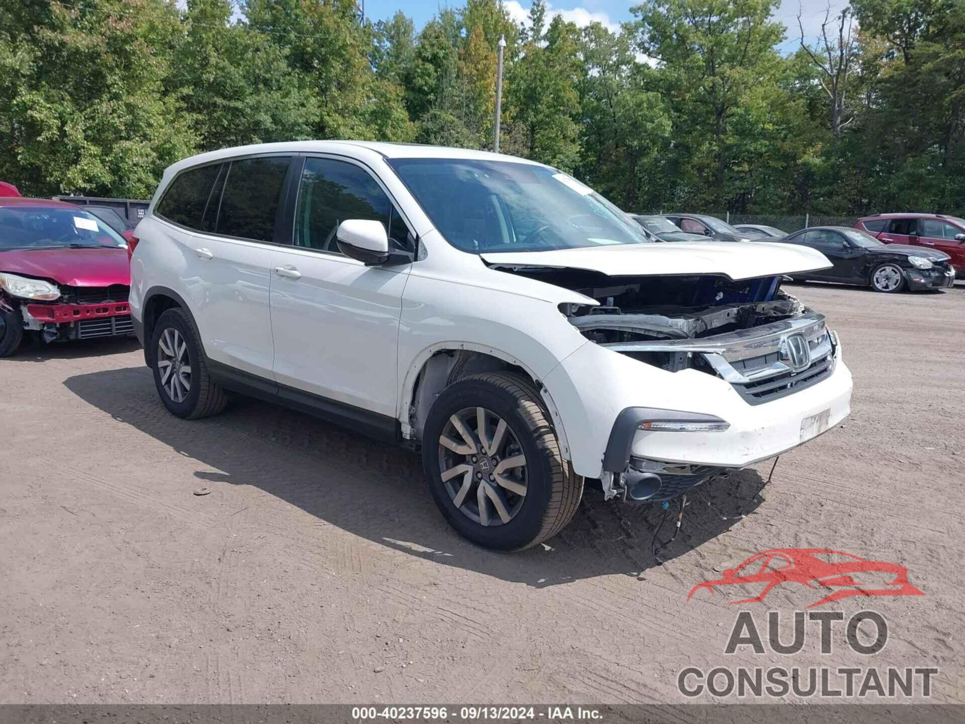 HONDA PILOT 2019 - 5FNYF6H55KB031740