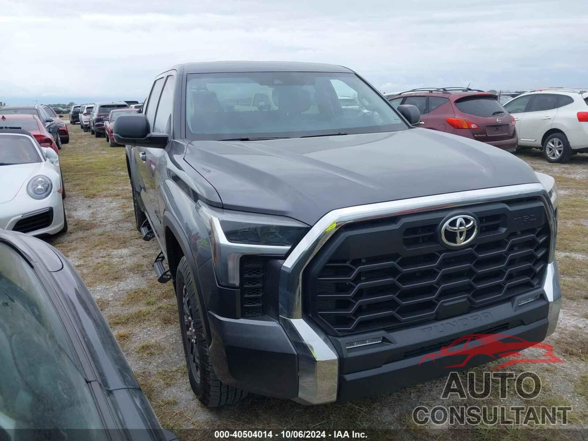 TOYOTA TUNDRA 2024 - 5TFLA5DBXRX210337