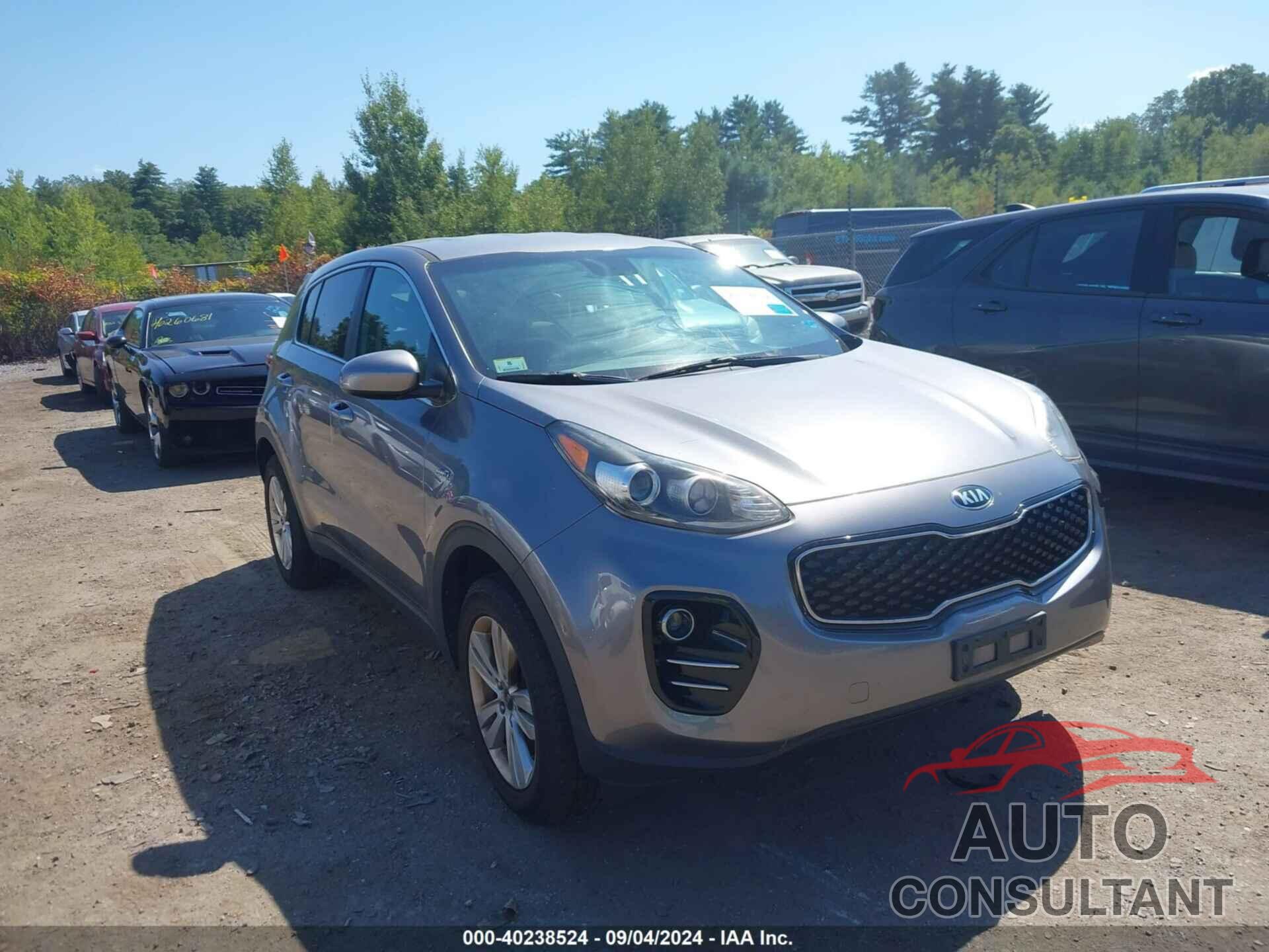 KIA SPORTAGE 2017 - KNDPMCAC7H7255423