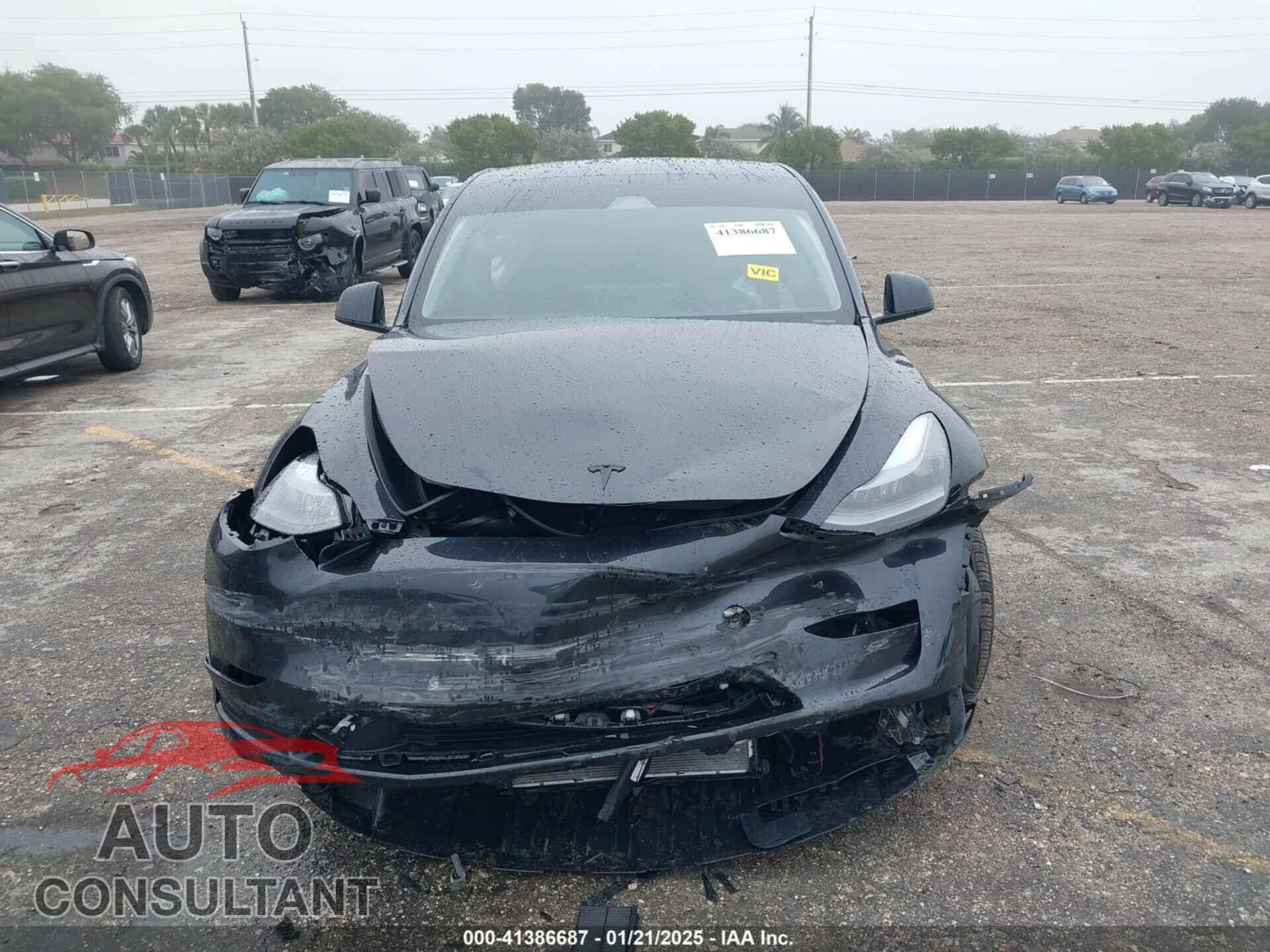 TESLA MODEL Y 2024 - 7SAYGDED8RF213927