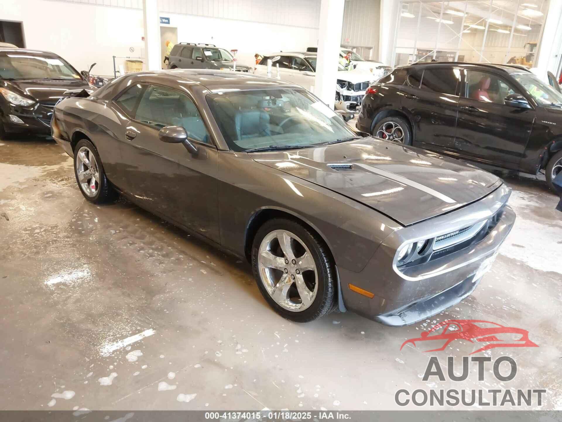 DODGE CHALLENGER 2013 - 2C3CDYAG9DH629189