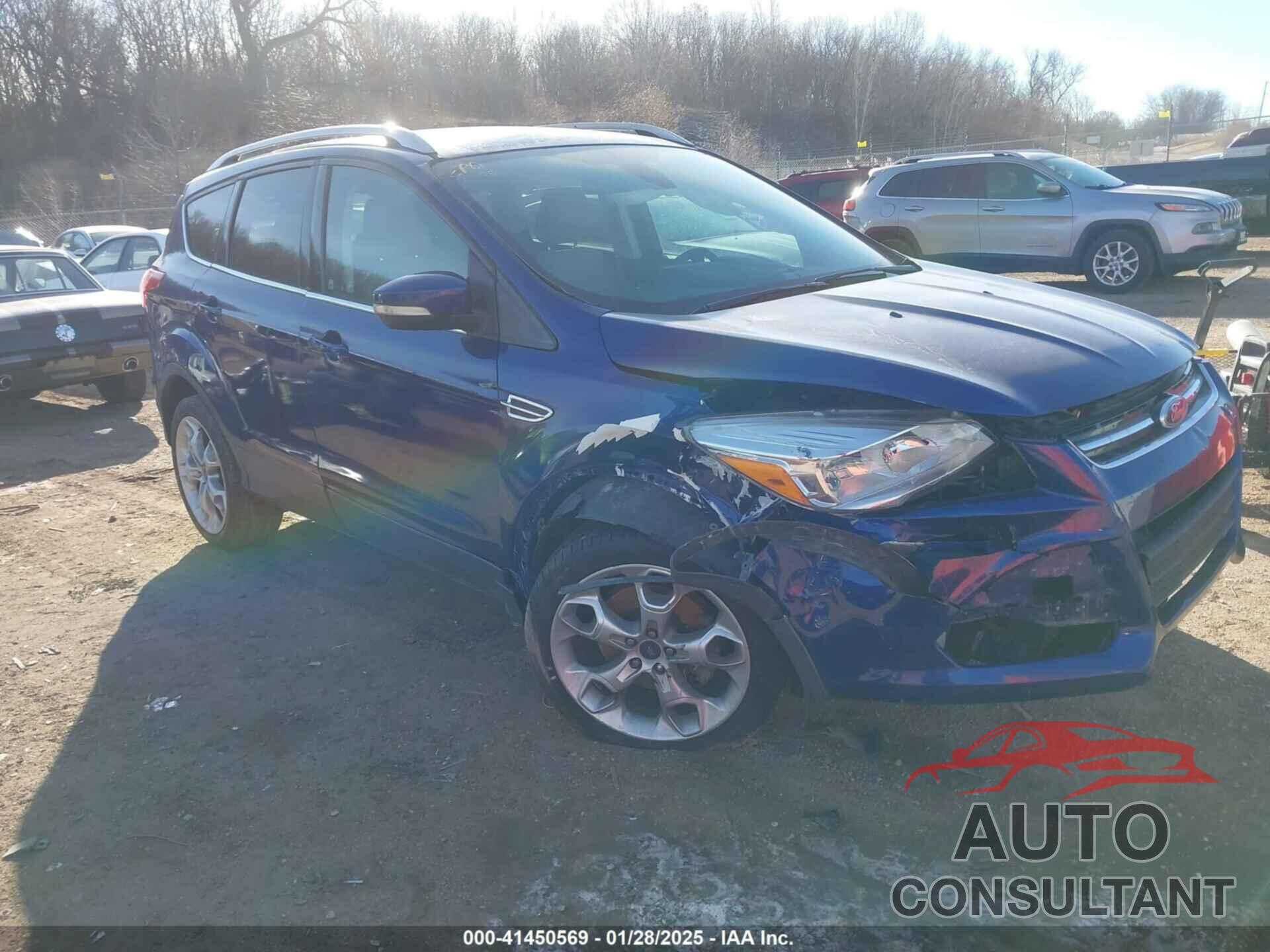 FORD ESCAPE 2014 - 1FMCU0J94EUE55203