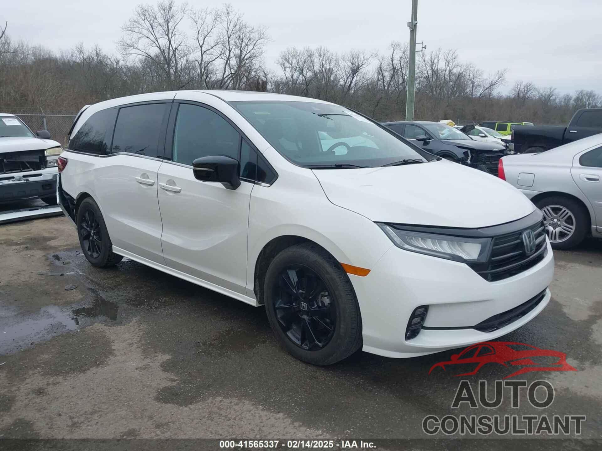 HONDA ODYSSEY 2024 - 5FNRL6H74RB069338