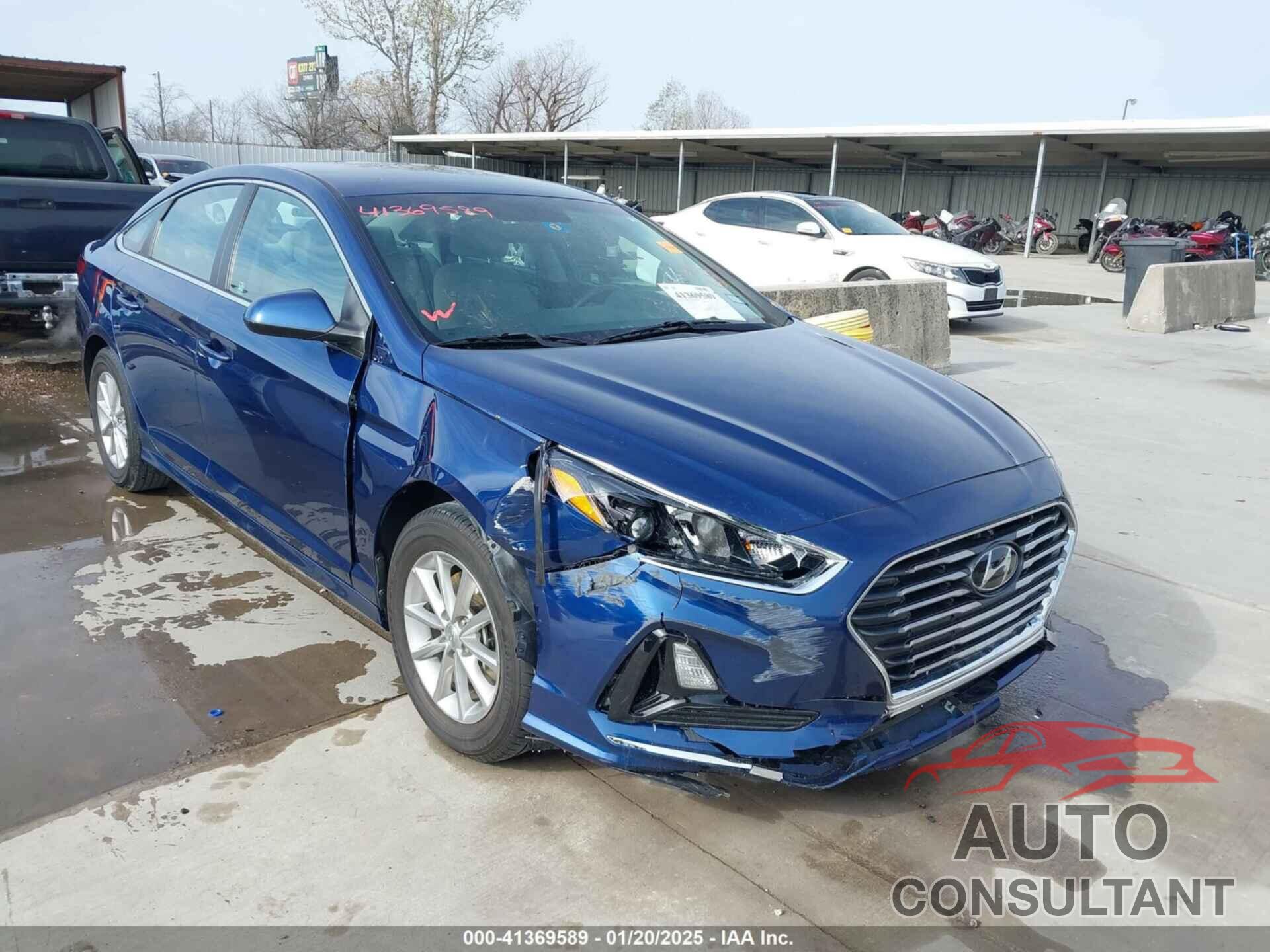 HYUNDAI SONATA 2019 - 5NPE24AF7KH772978